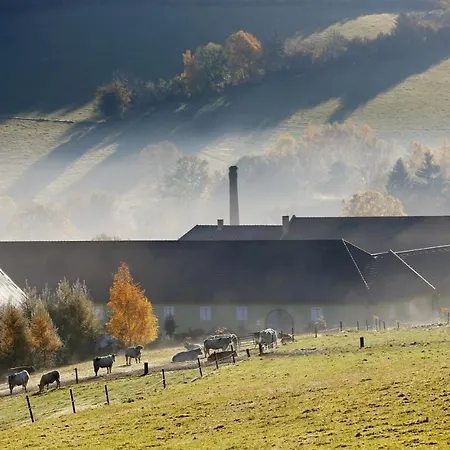 Rodinný Jimramovské Pavlovice Až 24 Osob! *
