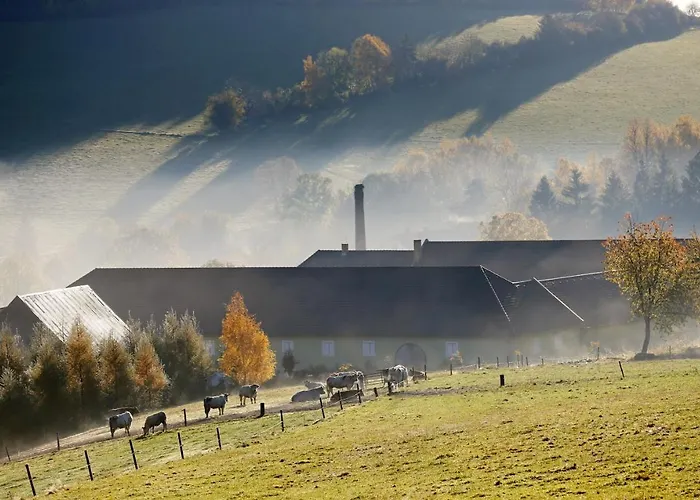 Rodinný Jimramovské Pavlovice Až 24 Osob! *